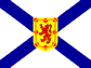 ns flag